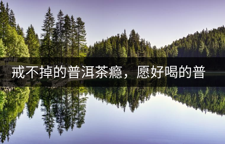 戒不掉的普洱茶癮，愿好喝的普洱茶陪伴你一生