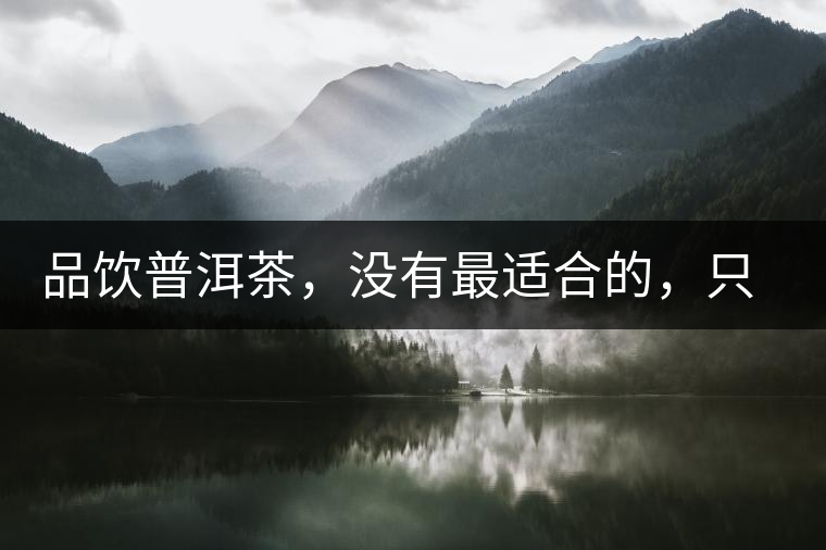 品飲普洱茶，沒有最適合的，只有更適合的