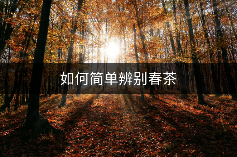 如何簡單辨別春茶 如何簡單辨別春茶