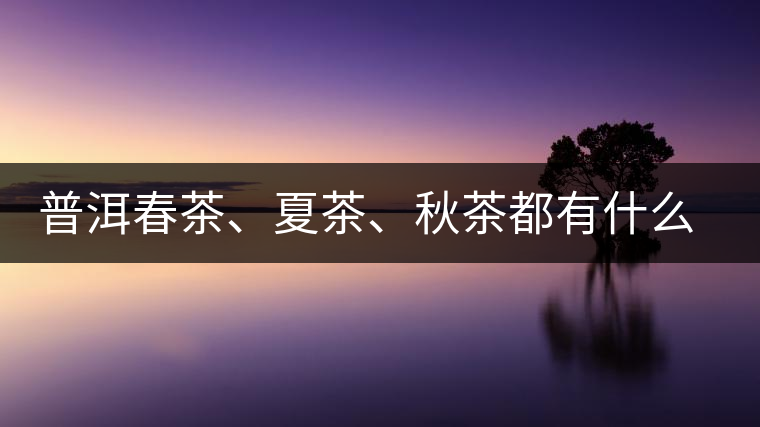 普洱春茶、夏茶、秋茶都有什么特點？