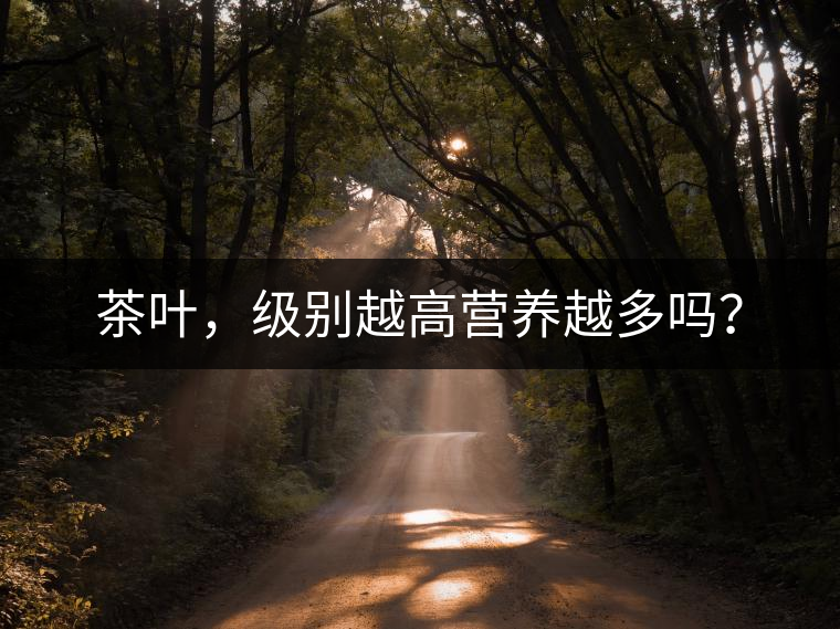 茶葉，級別越高營養(yǎng)越多嗎？