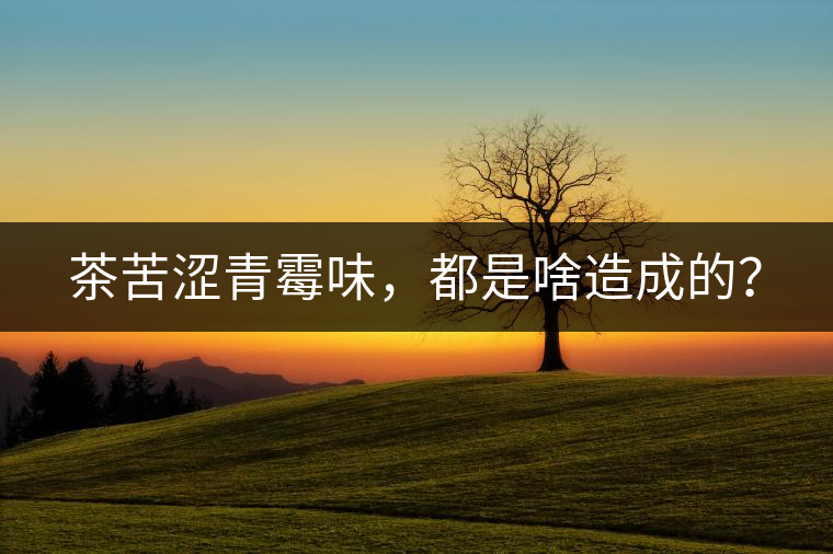 茶苦澀青霉味，都是啥造成的？