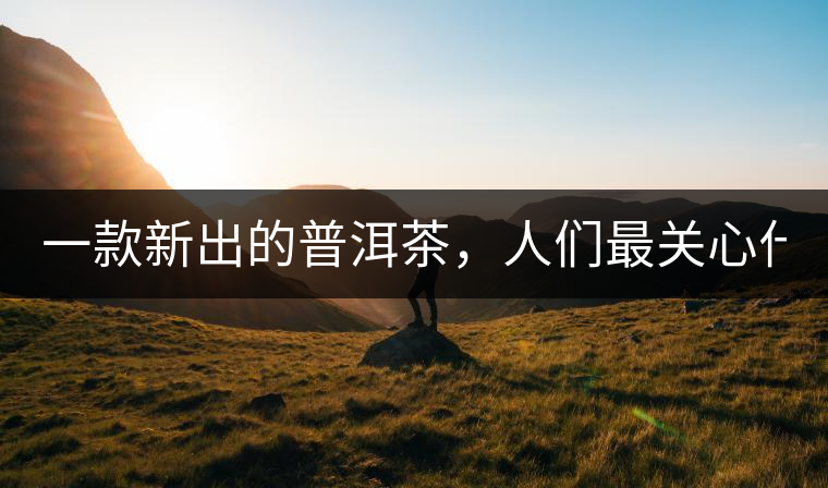 一款新出的普洱茶，人們最關(guān)心什么?