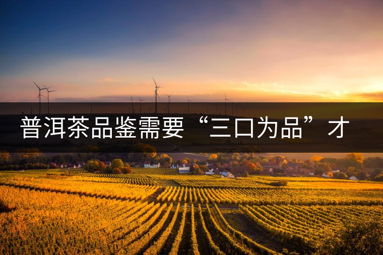 普洱茶品鑒需要“三口為品”才真實，那從哪里入手品鑒呢？