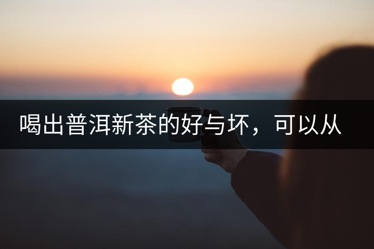 喝出普洱新茶的好與壞，可以從這五點出發(fā)