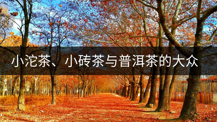小沱茶、小磚茶與普洱茶的大眾化之路