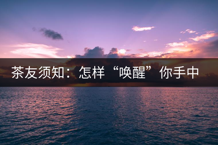 茶友須知：怎樣“喚醒”你手中的那一餅普洱茶？