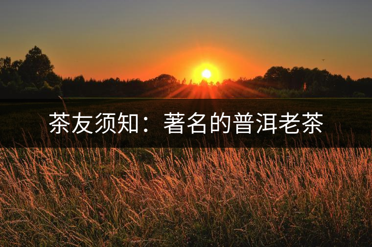 茶友須知：著名的普洱老茶