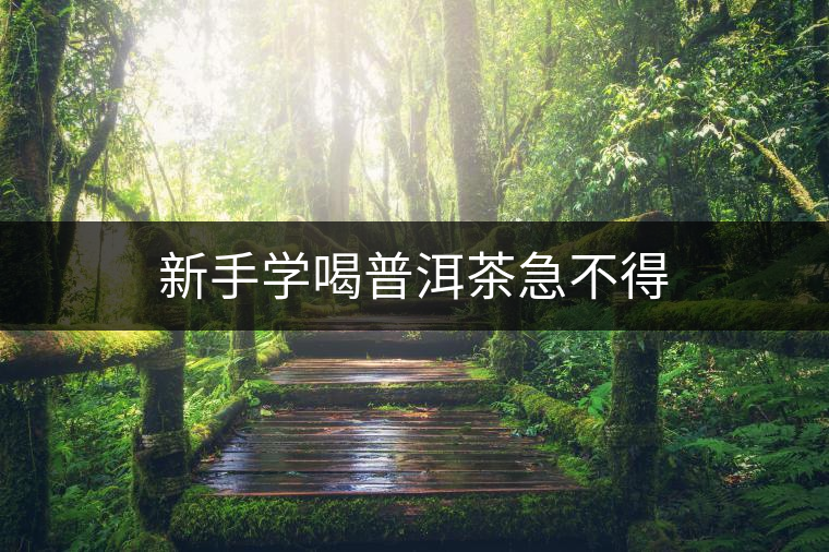 新手學喝普洱茶急不得 新手學喝普洱茶急不得