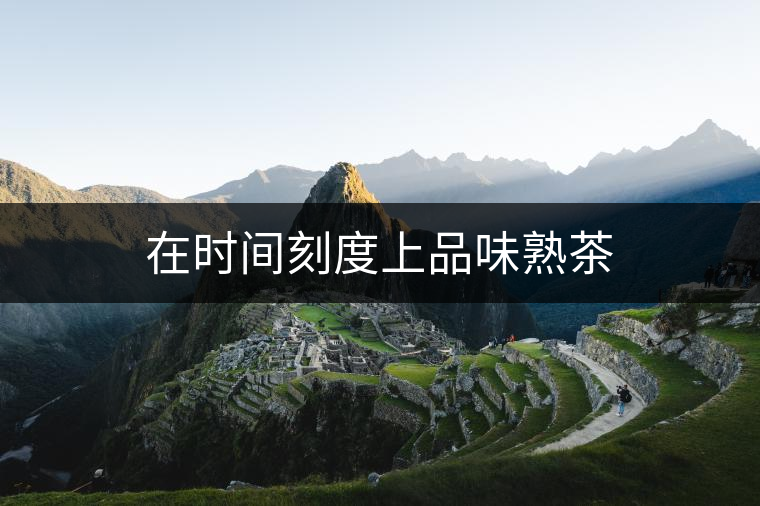 在時間刻度上品味熟茶