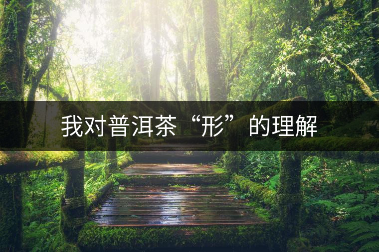 我對(duì)普洱茶“形”的理解