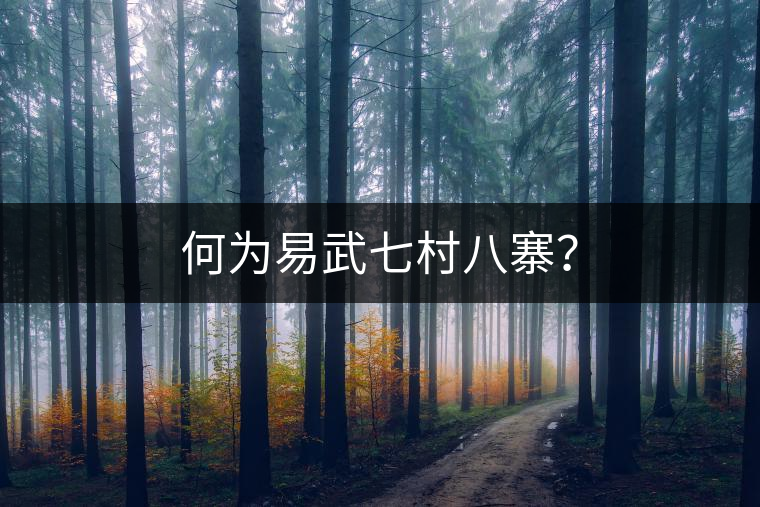 何為易武七村八寨？