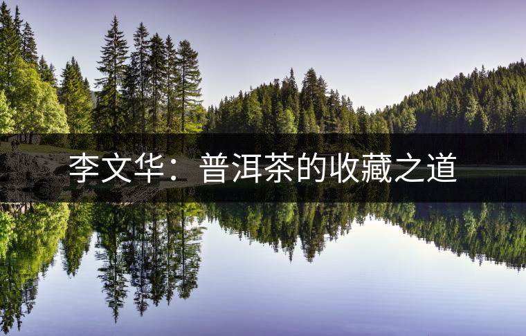 李文華：普洱茶的收藏之道
