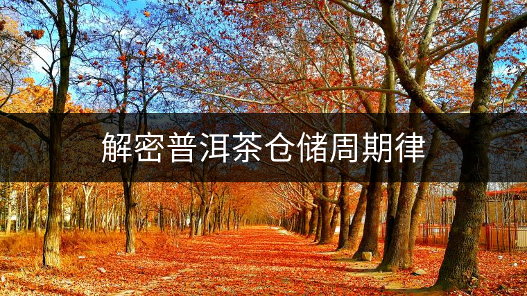 解密普洱茶倉(cāng)儲(chǔ)周期律