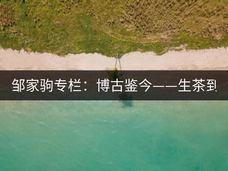 鄒家駒專(zhuān)欄：博古鑒今——生茶到底是不是普洱茶？