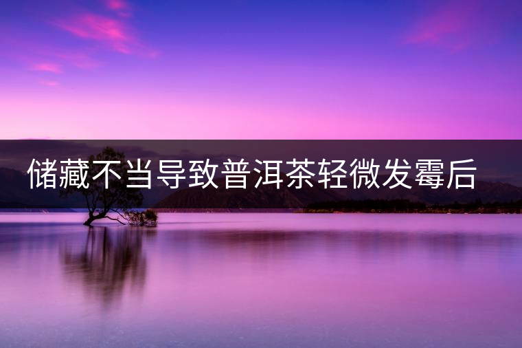 儲藏不當(dāng)導(dǎo)致普洱茶輕微發(fā)霉后如何處理？