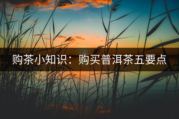 購茶小知識：購買普洱茶五要點(diǎn)