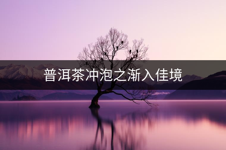 普洱茶沖泡之漸入佳境 普洱茶沖泡之漸入佳境