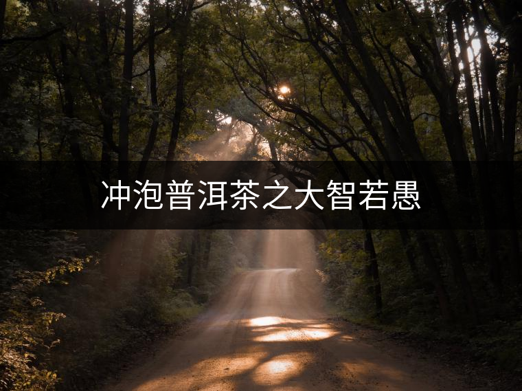 沖泡普洱茶之大智若愚