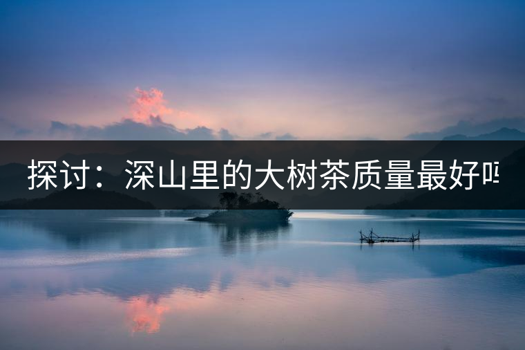 探討：深山里的大樹(shù)茶質(zhì)量最好嗎？