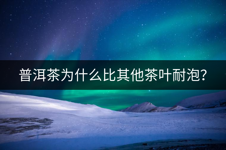 普洱茶為什么比其他茶葉耐泡？