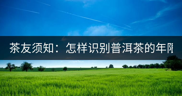 茶友須知：怎樣識別普洱茶的年限？