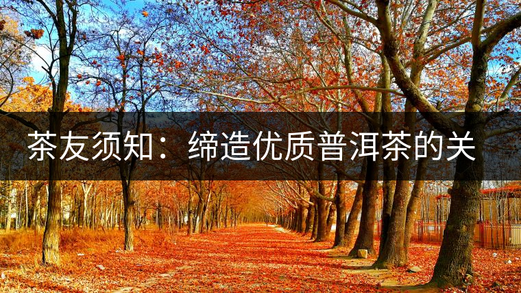 茶友須知：締造優(yōu)質(zhì)普洱茶的關鍵