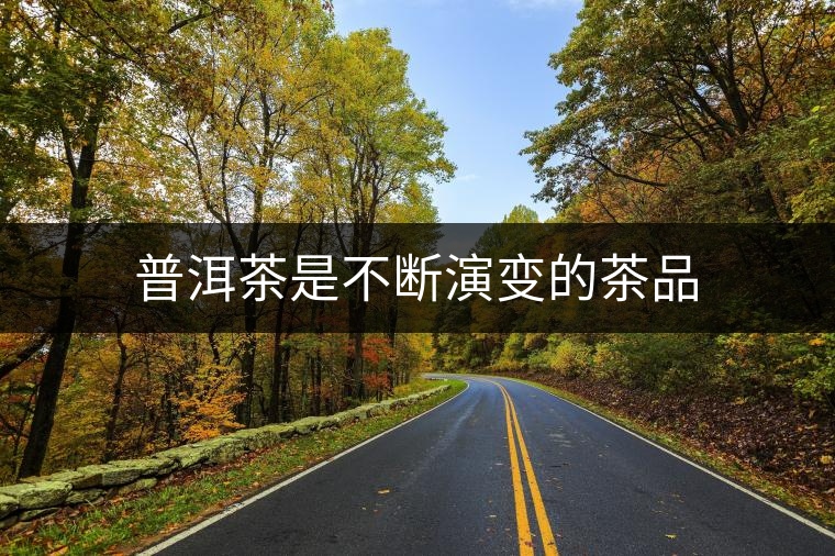 普洱茶是不斷演變的茶品