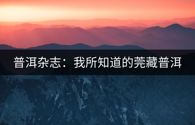 普洱雜志：我所知道的莞藏普洱