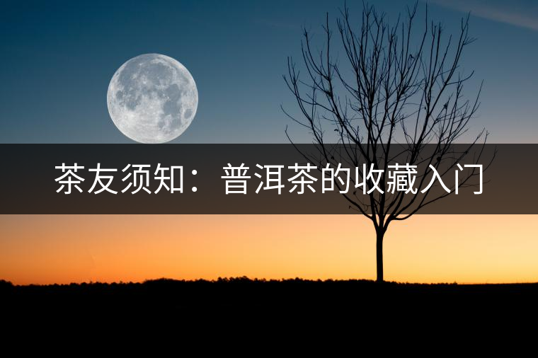 茶友須知：普洱茶的收藏入門