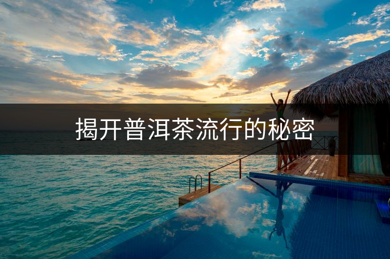 揭開(kāi)普洱茶流行的秘密 揭開(kāi)普洱茶流行的秘密