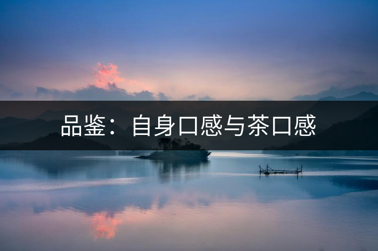 品鑒：自身口感與茶口感