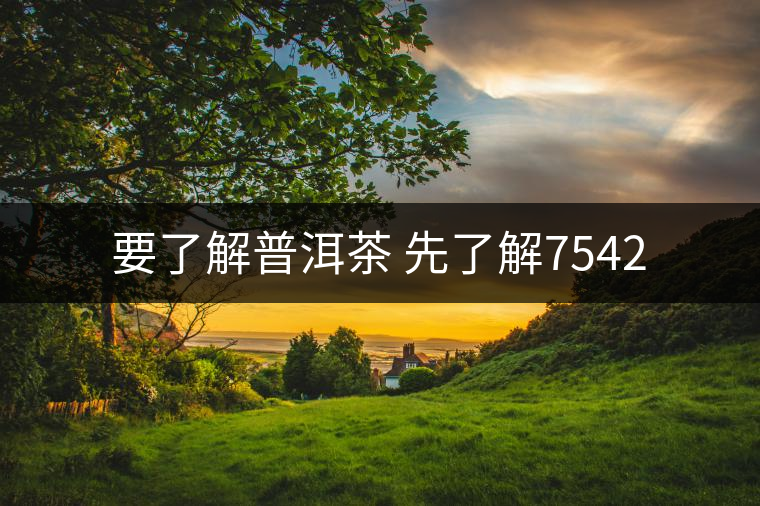 要了解普洱茶 先了解7542