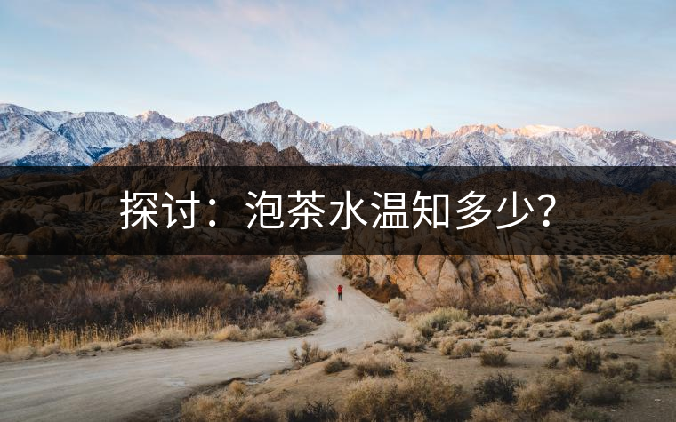 探討：泡茶水溫知多少？