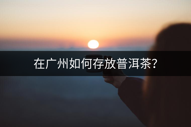在廣州如何存放普洱茶？