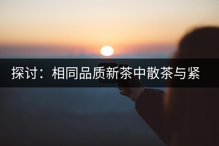 探討：相同品質(zhì)新茶中散茶與緊壓茶哪個(gè)好？