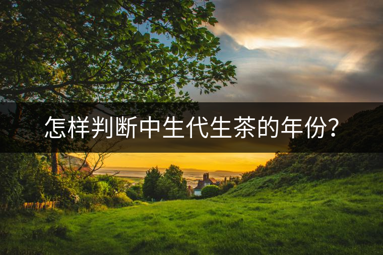 怎樣判斷中生代生茶的年份？