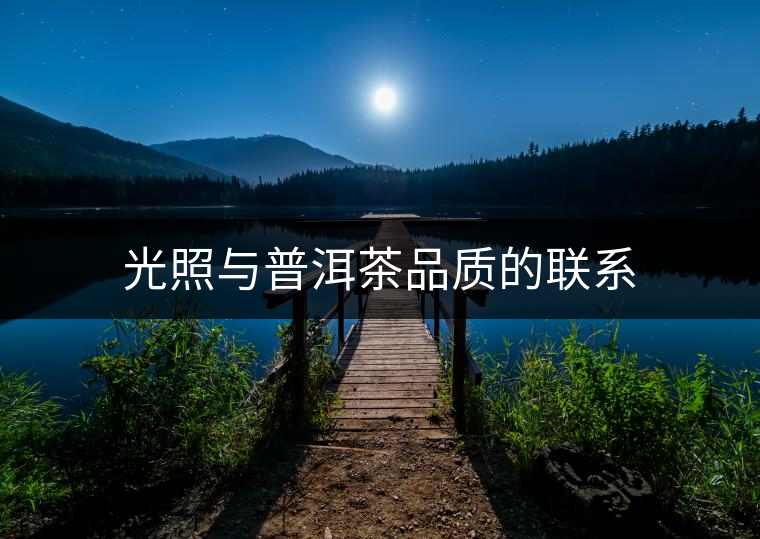 光照與普洱茶品質(zhì)的聯(lián)系