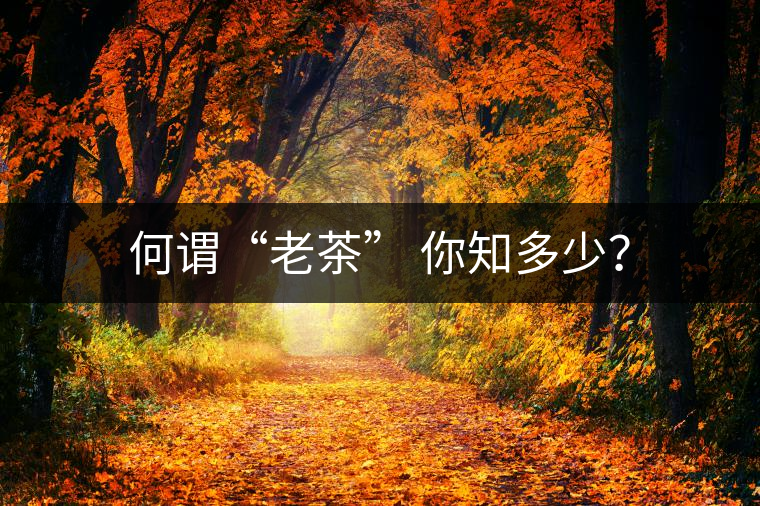 何謂“老茶” 你知多少？