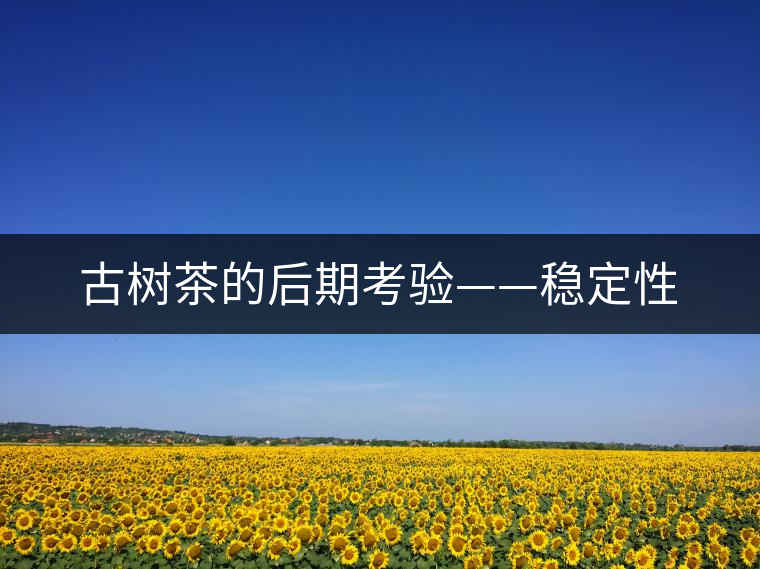 古樹茶的后期考驗(yàn)——穩(wěn)定性