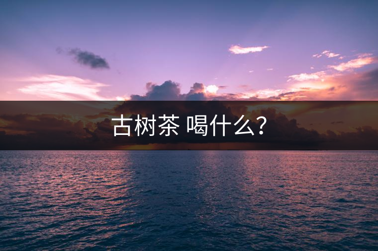 古樹茶 喝什么？