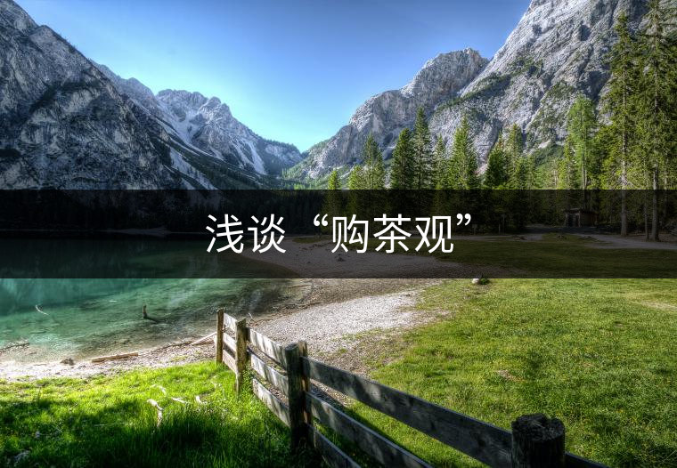 淺談“購茶觀”