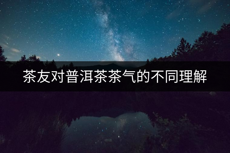 茶友對(duì)普洱茶茶氣的不同理解 茶友對(duì)普洱茶茶氣的不同理解