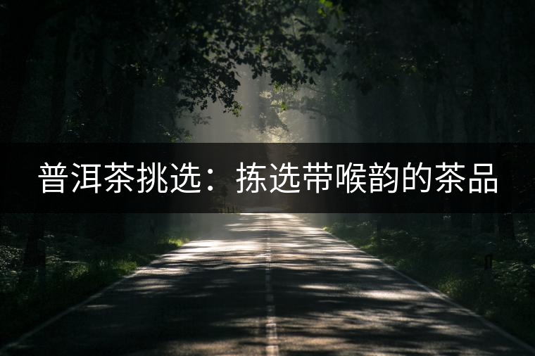 普洱茶挑選：揀選帶喉韻的茶品