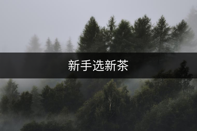 新手選新茶