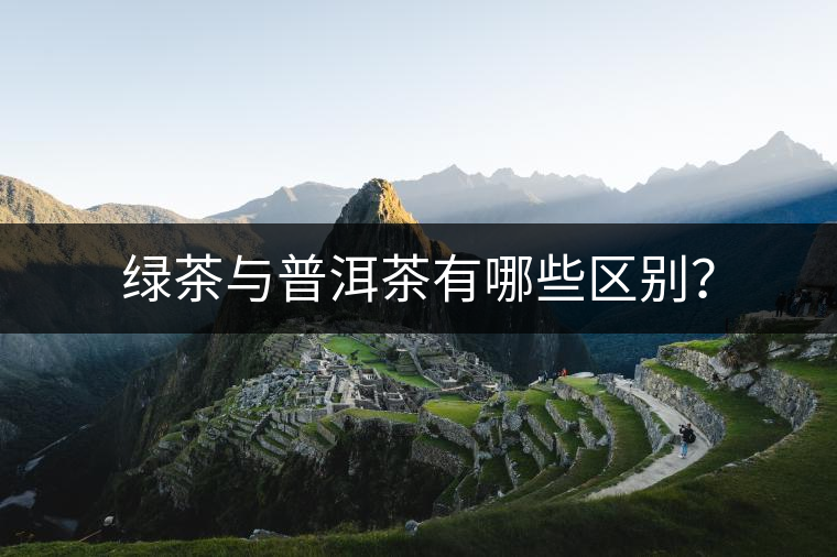 綠茶與普洱茶有哪些區(qū)別？