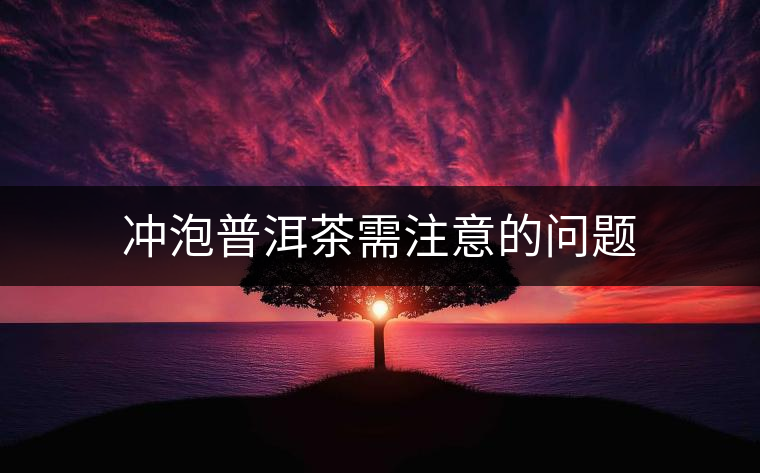 沖泡普洱茶需注意的問題