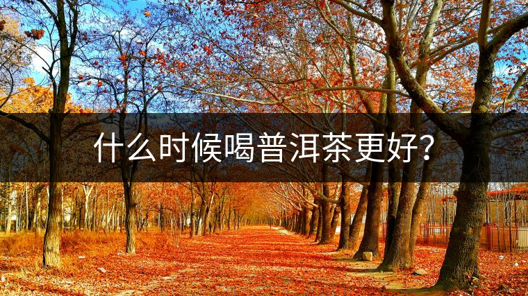 什么時(shí)候喝普洱茶更好？