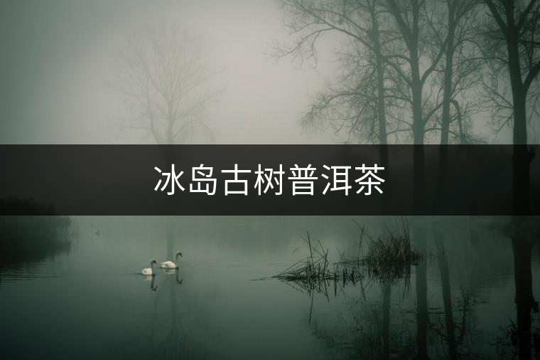冰島古樹(shù)普洱茶