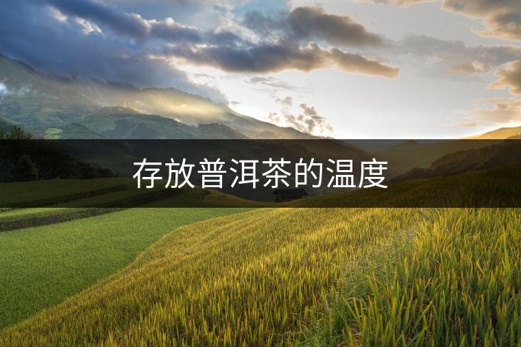 存放普洱茶的溫度